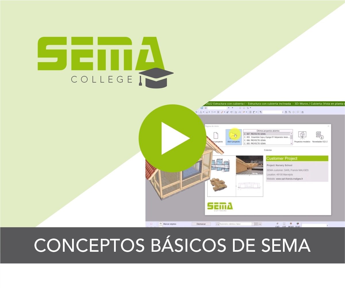 conceptos-basicos-de-sema